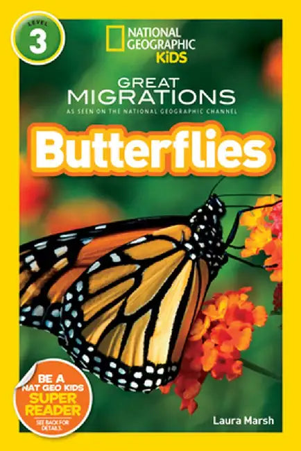 Butterflies by Laura Marsh