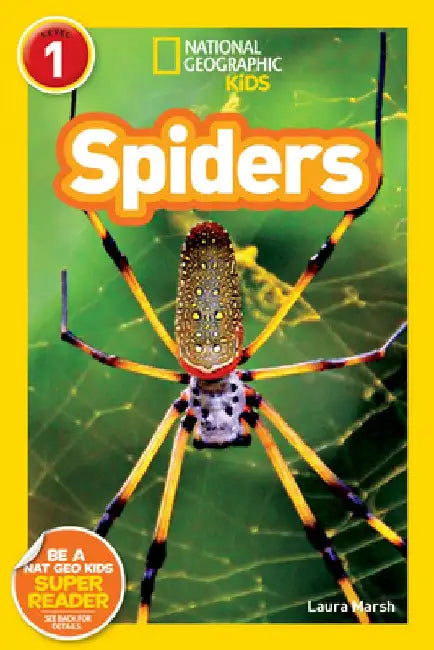 Spiders by Laura Marsh