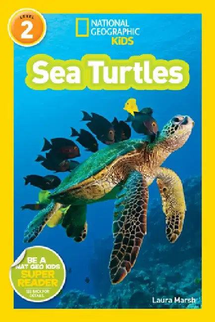 Sea Turtles by Laura Marsh