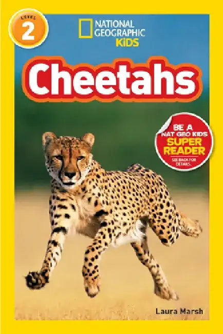 Cheetahs by Laura Marsh