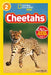 Cheetahs by Laura Marsh