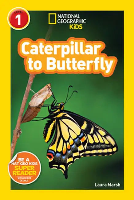 Caterpillar to Butterfly by Laura Marsh