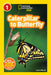 Caterpillar to Butterfly by Laura Marsh