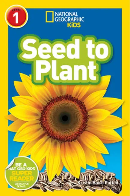 Seed to Plant by Kristin Baird Rattini