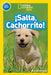 ¡Salta, Cachorrito! (Jump, Pup!) (National Geographic Kids Readers, Pre-Lector) by Susan B. Neuman