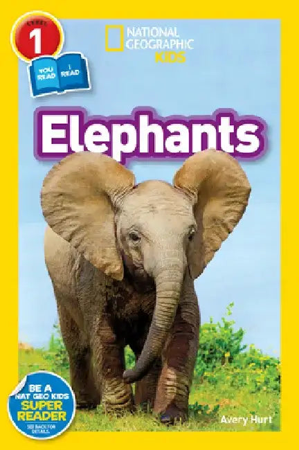 Elephants by Avery Hurt