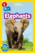 Elephants by Avery Hurt