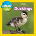 Explore My World: Ducklings by National Geographic Society