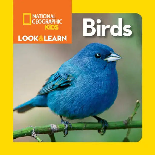 National Geographic Kids Look and Learn: Birds by National Geographic Society