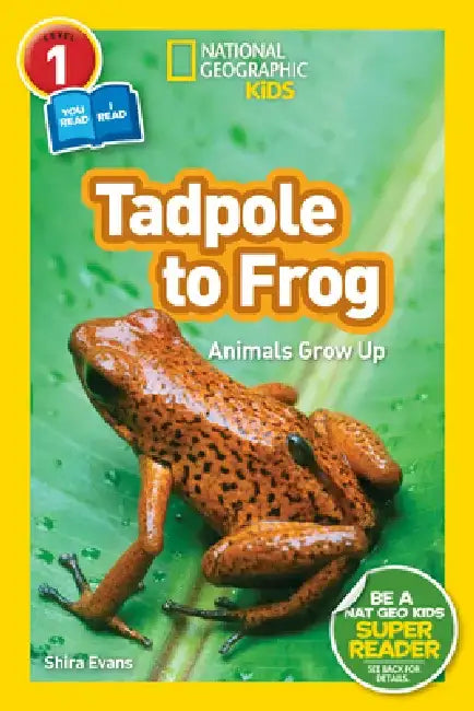 National Geographic Readers: Tadpole to Frog (L1/Co-Reader) by Shira Evans