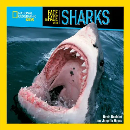 Face to Face with Sharks by David Doubliet