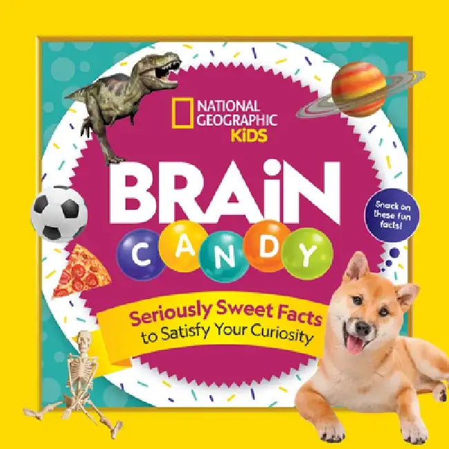 Brain Candy: 500 Sweet Facts to Satisfy Your Curiosity by Julie Beer