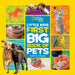 Little Kids First Big Book of Pets by Catherine Hughes