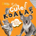 So Cute! Koalas by Crispin Boyer