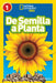 National Geographic Readers: de Semilla a Planta (L1) by Kristin Baird Rattini