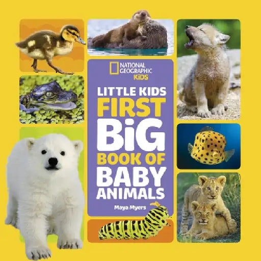 Little Kids First Big Book of Baby Animals by Maya Myers