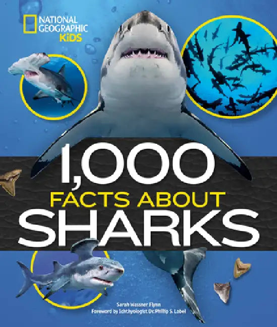 1,000 Facts about Sharks by Sarah Wassner Flynn, Phillip S. Lobel