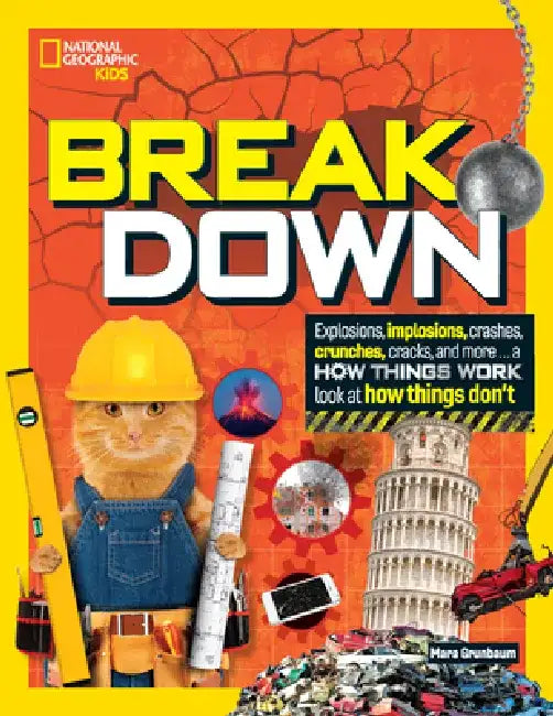 Break Down! by Mara Grunbaum