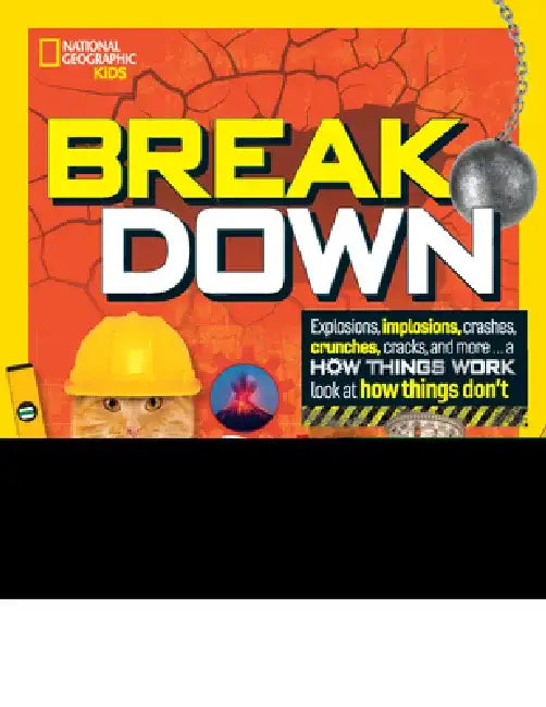 Break Down! by Mara Grunbaum