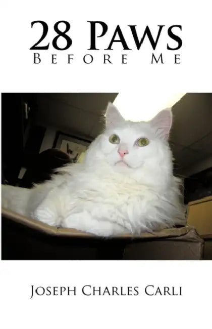 Twenty-Eight Paws Before Me by Joseph Charles Carli