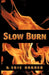 Slow Burn by D. Eric Horner