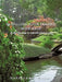 Fulfilling Your Destiny with Ease: A Divine Map to Satisfaction in Life by I. Enudi Harrison I. Enudi, Harrison I Enudi