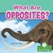 What Are Opposites? by Miranda Kelly