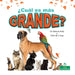 ¿Cuál Es Más Grande? (Which Is Biggest?) by Miranda Kelly, Pablo de la Vega