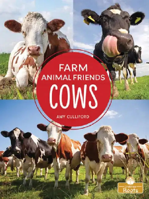 Cows by Amy Culliford