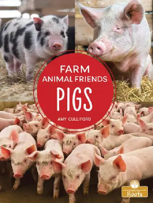 Pigs by Amy Culliford