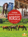 Horses by Amy Culliford