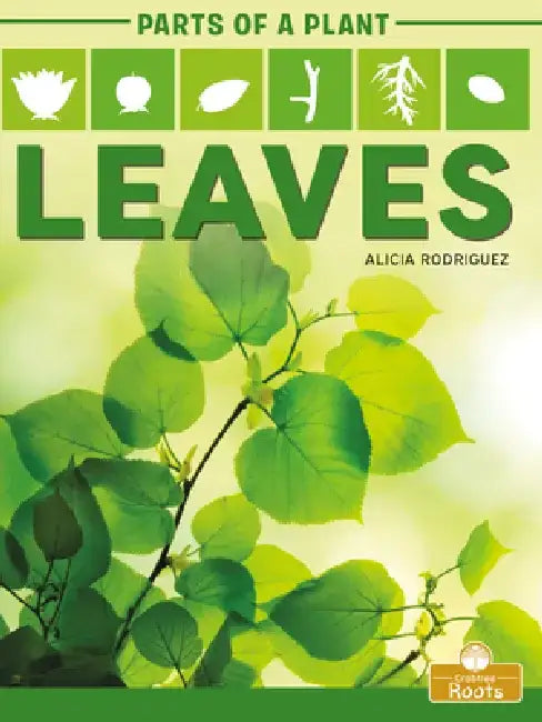 Leaves by Alicia Rodriguez
