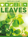 Leaves by Alicia Rodriguez
