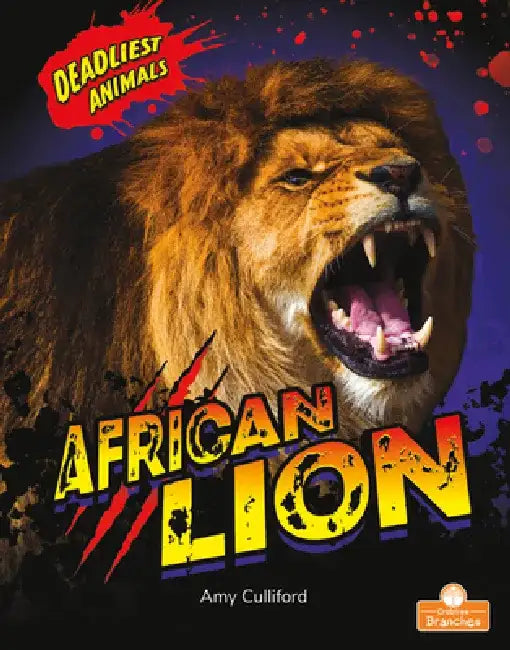 African Lion by Amy Culliford