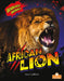 African Lion by Amy Culliford