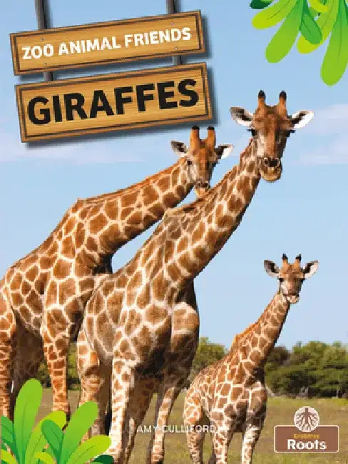 Giraffes by Amy Culliford