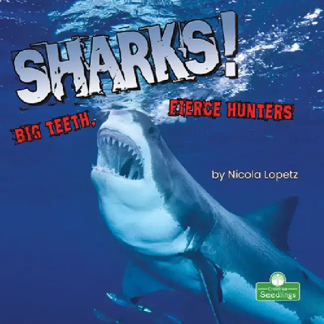 Sharks! Big Teeth, Fierce Hunters by Nicola Lopetz