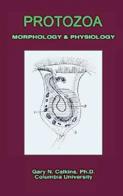 Protozoa Morphology & Physiology (Microbiology Series) by Gary N. Calkins