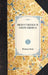 Mead's Travels in North America by Whitman Mead