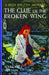 Clue of the Broken Wing #29 by Margaret Sutton