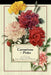Carnations and Pinks by J. McLeod, James Douglas, T. Cook