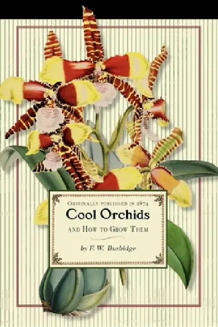 Cool Orchids by Frederick Burbidge