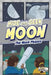 Hide and Seek Moon: The Moon Phases by Robin Michal Koontz, Chris Davidson