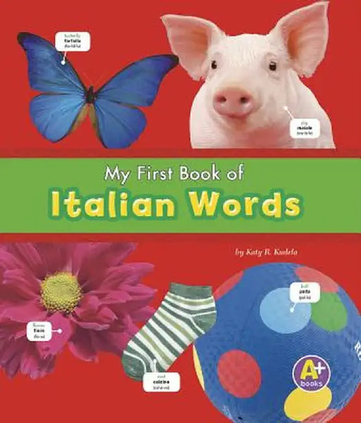 My First Book of Italian Words by Katy R. Kudela