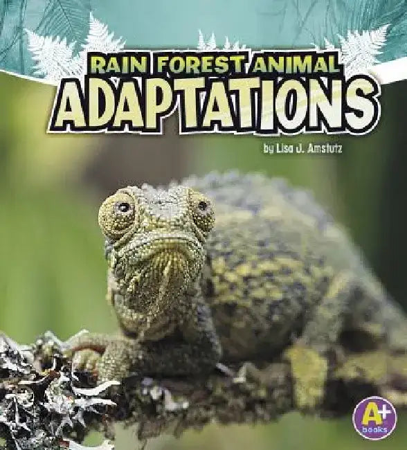 Rain Forest Animal Adaptations by Lisa J. Amstutz