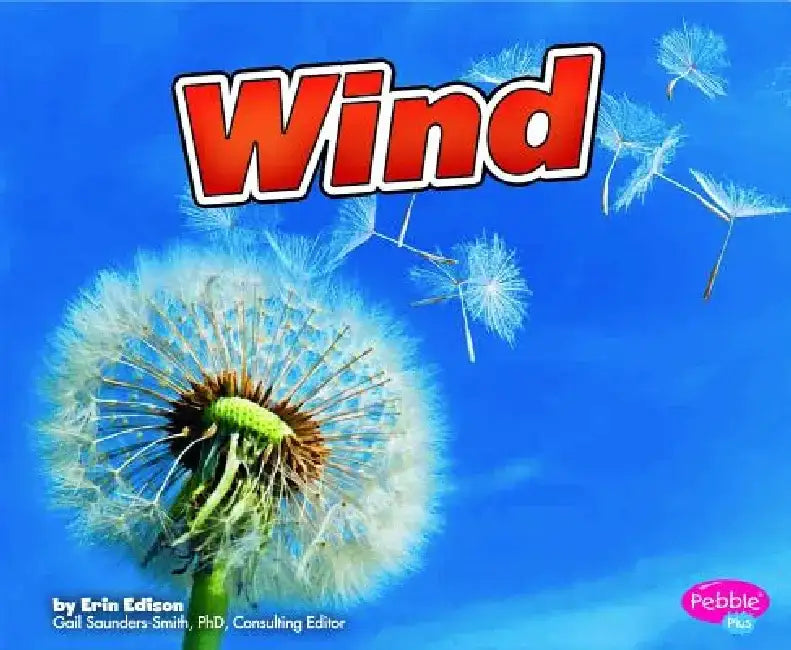 Wind by Erin Edison