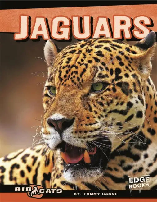 Jaguars by Tammy Gagne, Zoological Society of San Diego