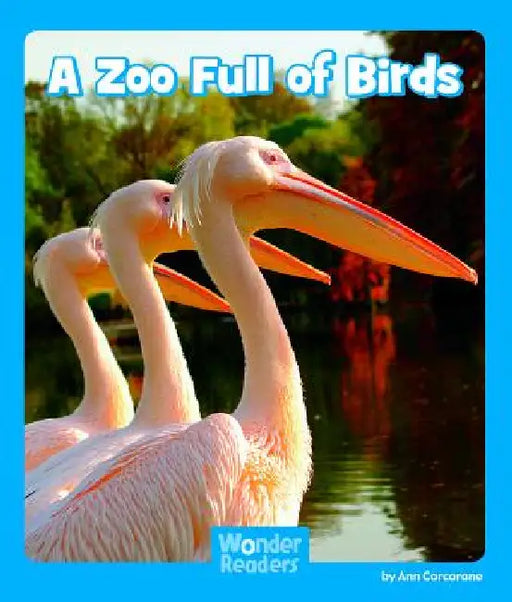 A Zoo Full of Birds by Ann Corcorane