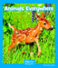 A Zoo Full of Birds by Ann Corcorane