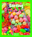 Sorting by Ann Corcorane